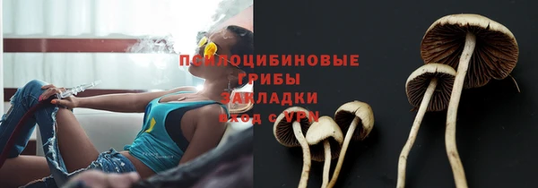 Альфа ПВП Каменногорск