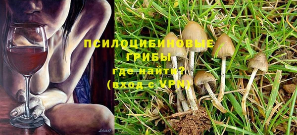 Альфа ПВП Каменногорск