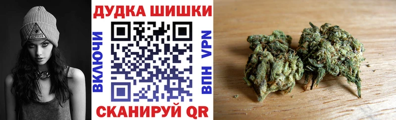 Купить  Краснознаменск  Конопля гибрид 