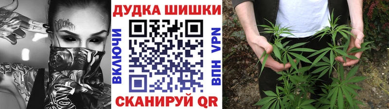 Канабис сатива Краснознаменск